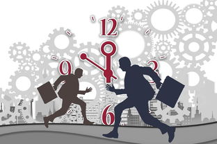 爱游戏体育(AYX)官方APP下载-中国篮球职业联赛赛事风险管理研究,中国篮球协会审定的最新《篮球竞赛规则》