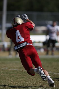 爱游戏在线娱乐官网-德甲球队视频分析辅助防守站位调整的实证研究，德甲身体对抗